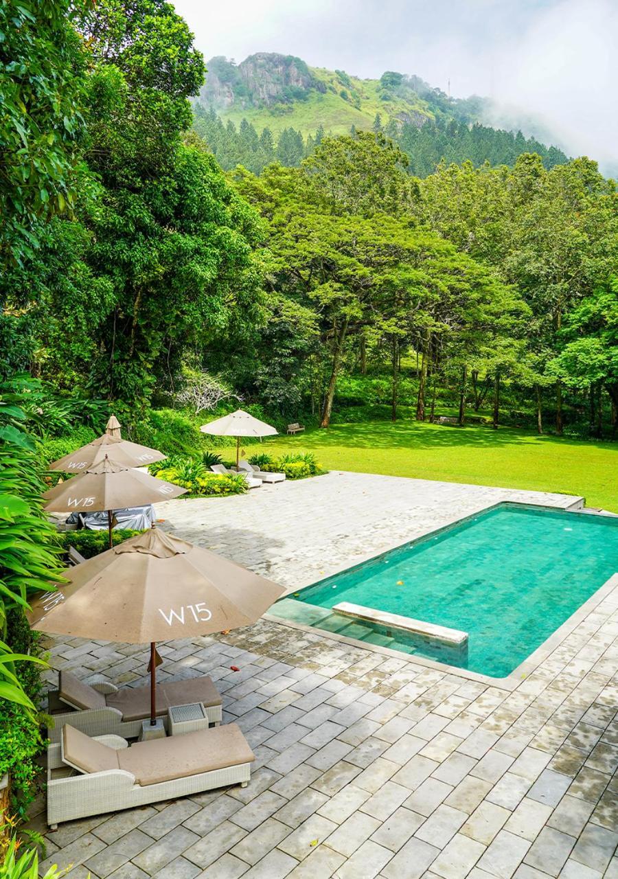 W15 Hanthana Estate Kandy Zewnętrze zdjęcie