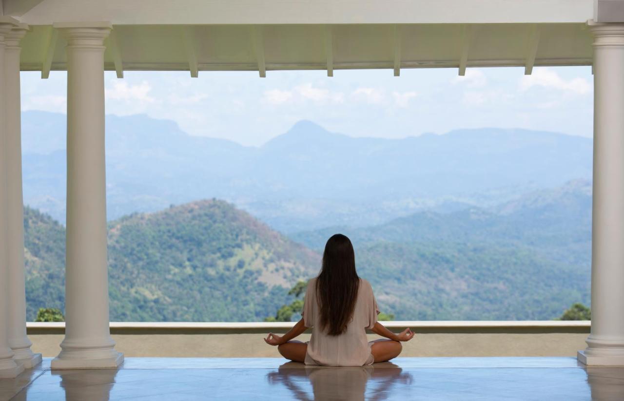 W15 Hanthana Estate Kandy Zewnętrze zdjęcie