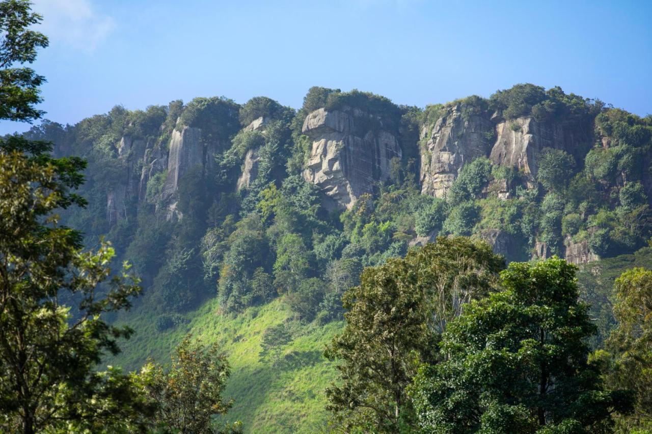 W15 Hanthana Estate Kandy Zewnętrze zdjęcie