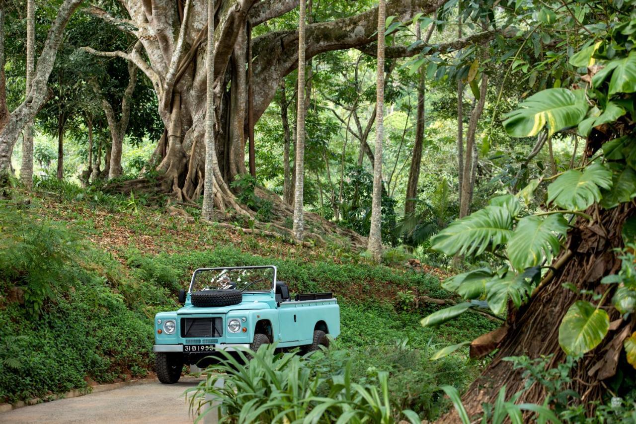 W15 Hanthana Estate Kandy Zewnętrze zdjęcie