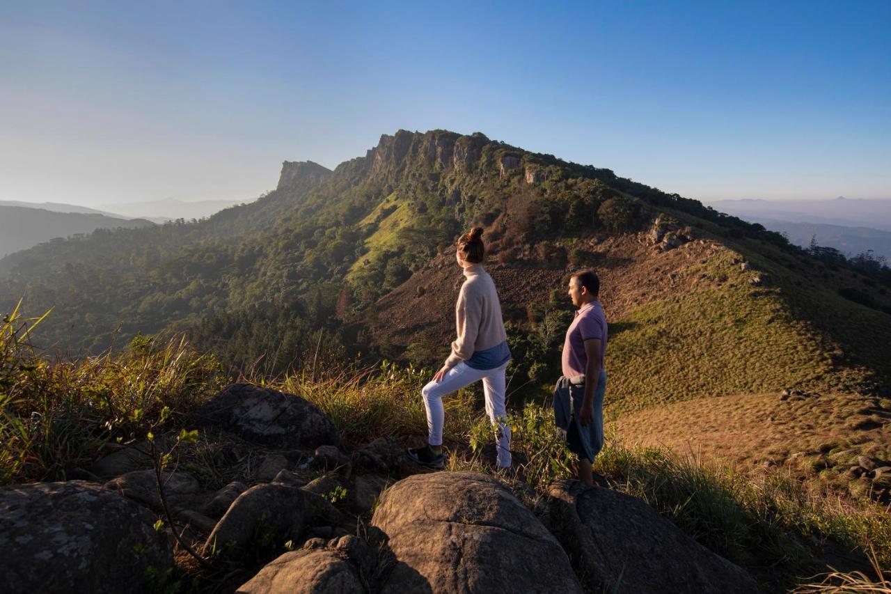 W15 Hanthana Estate Kandy Zewnętrze zdjęcie